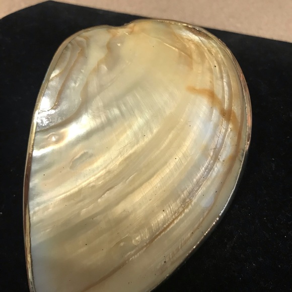 Sea Shell belt. 32” to 40” - Picture 4 of 5